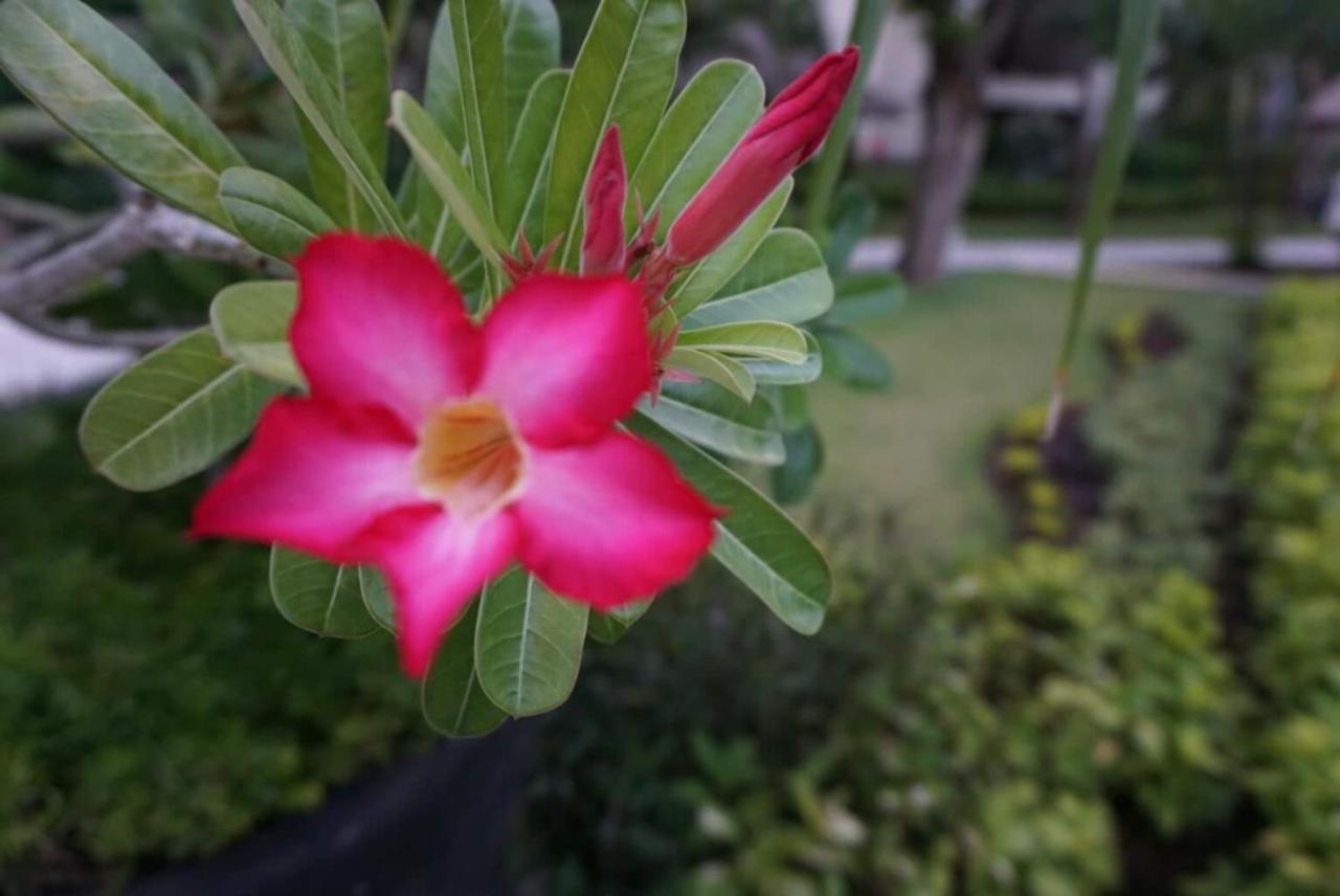 Ruby Nusa Dua  Exterior photo